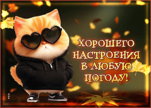 file_100797553