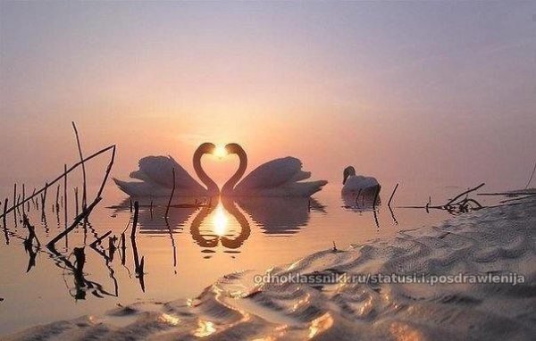getImage (54)