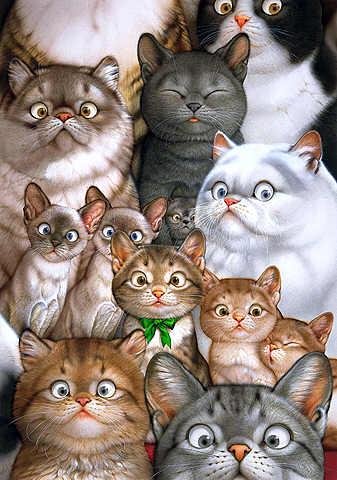 Уход за домашними кошками