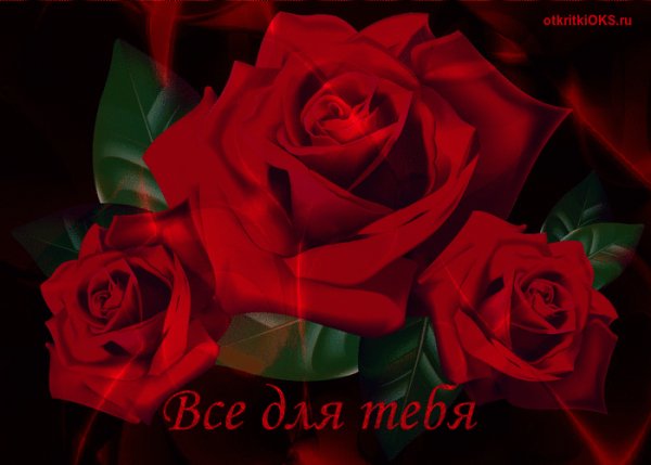 IMG 20170105 123245 8