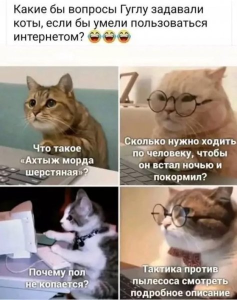 file_102470695