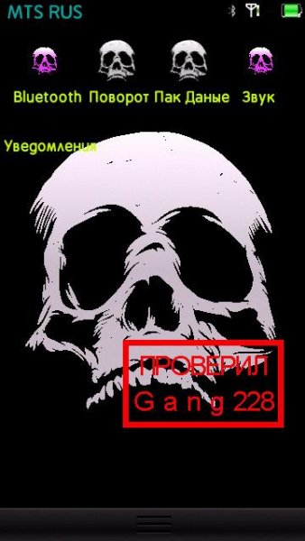 Skin Skulls na BelleTopBar.Gang228