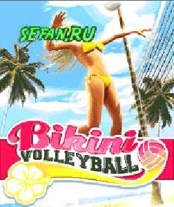 Bikini Volleyball 240 nok