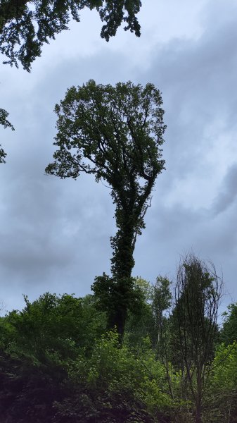 IMG 20260604 122056