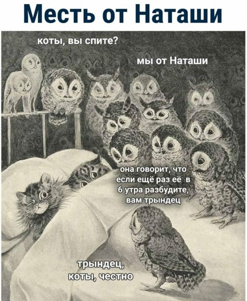 FB IMG 1778184206563