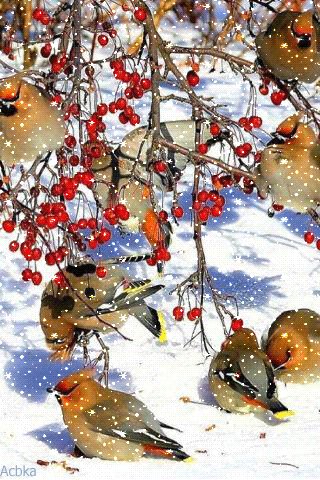 file_76416597