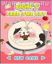 Dont Feed The Cat