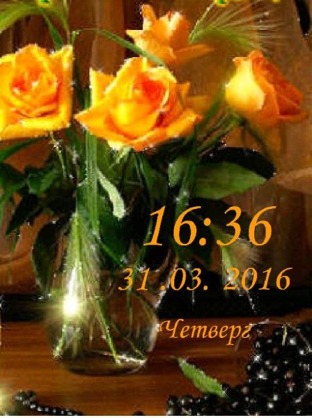 Розы