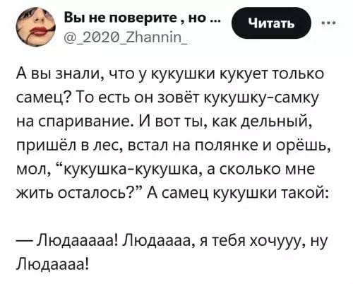 ))