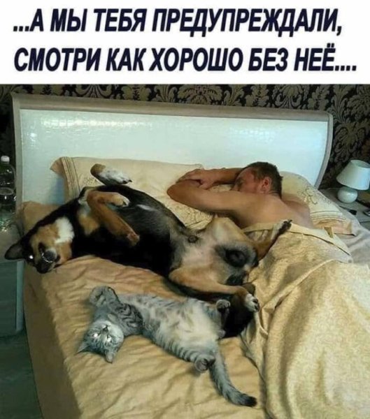 IMG 20250116 063035