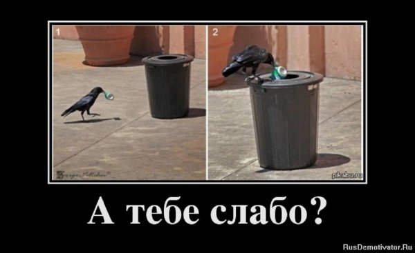 А тебе слабо?