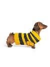 Beeline dog