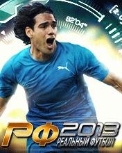 Real Football 2013