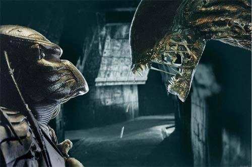 aliens vs predator requiem 240x320 se