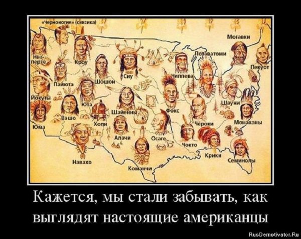 Вот как выглядят настоящие американцы