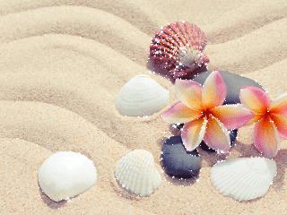 file_77956877