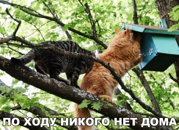 IMG 20231112 105035