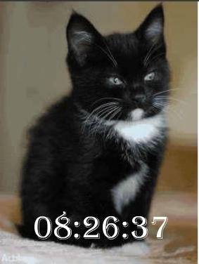 Котя цифр часы ани
