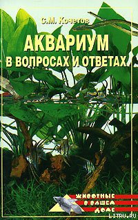 Кочетов. Аквариум в вопросах и ответах