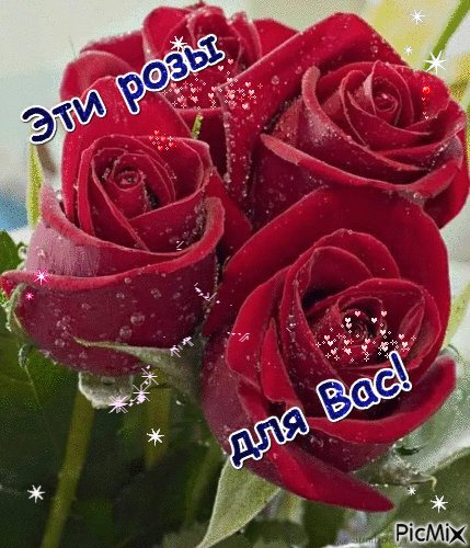 file_101248154