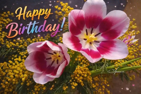 Happy birthday