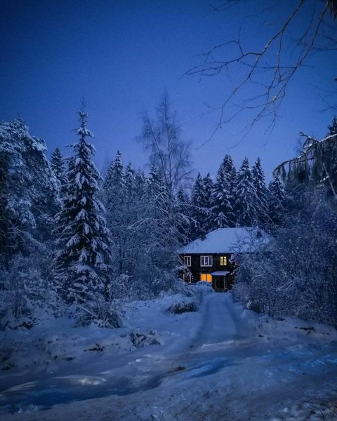 file_101548769