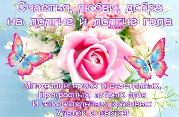 file_77446437
