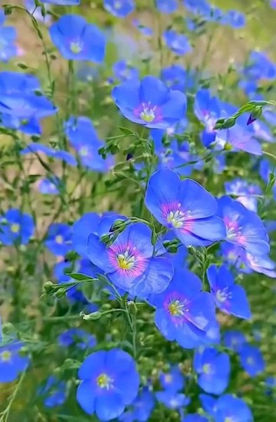 file_96269992
