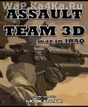 AssaultTeam3D