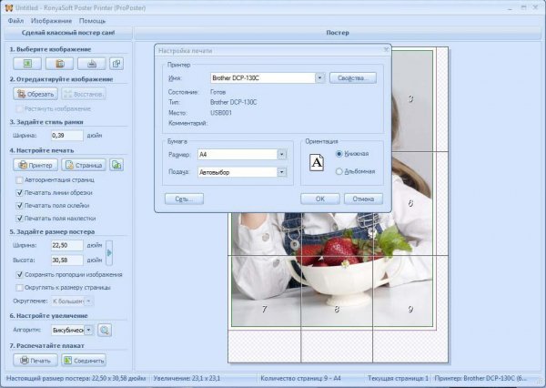 RonyaSoft Poster Printer