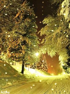 file_71302422