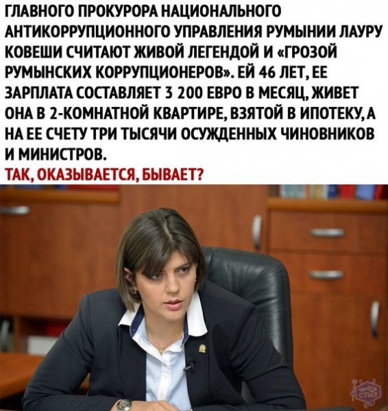 file_81536033
