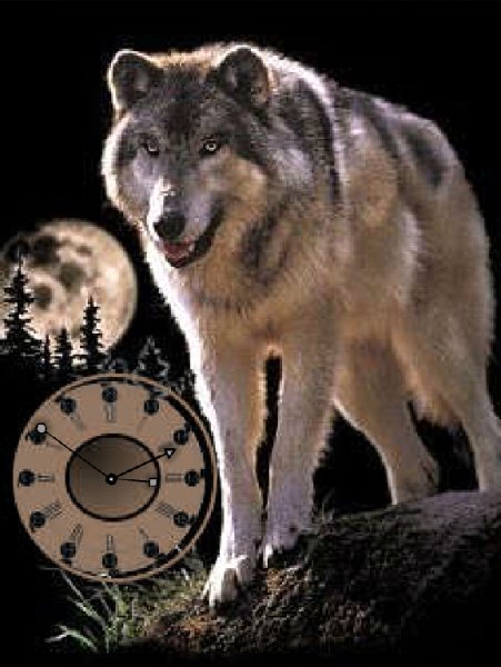 Volk
