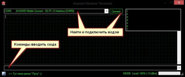 Huawei Terminal