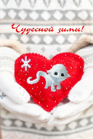 file_75549728
