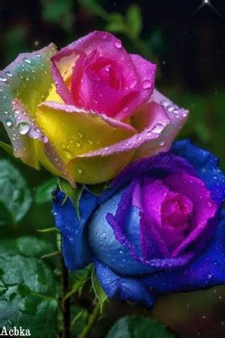 file_96987828