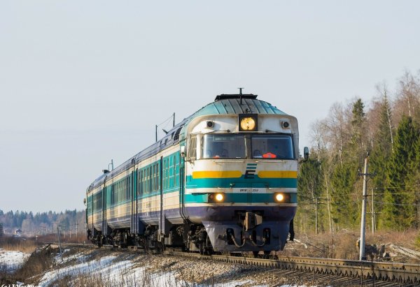 file_102542406