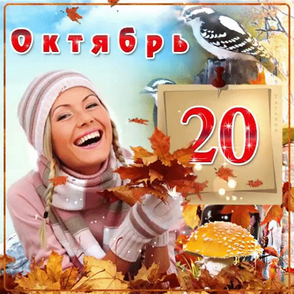 file_75178883