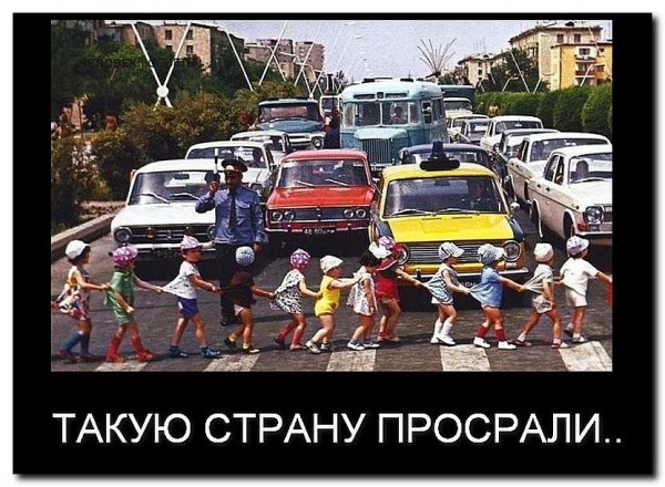 image (15)