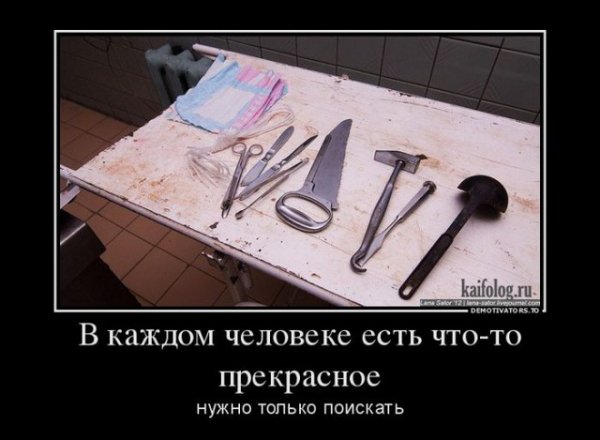 file_64882727