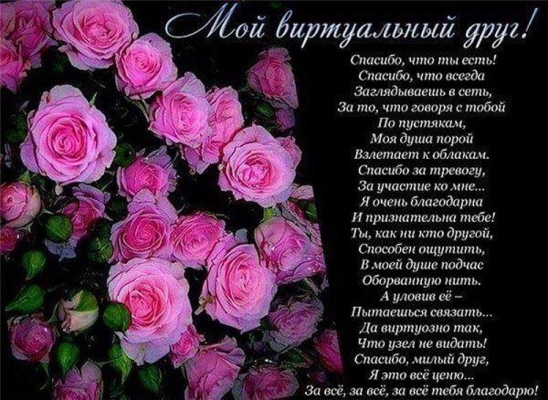 мой виртуальный друг