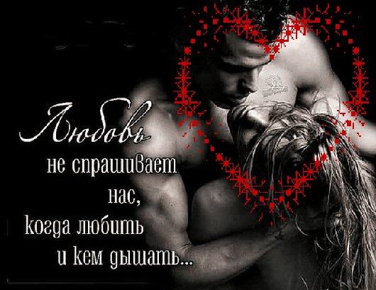 любовь не спрашивает