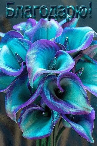 file_98249173