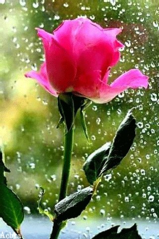 file_97002882
