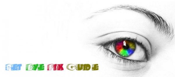 Pet Eye Fix Guide 2 2 2