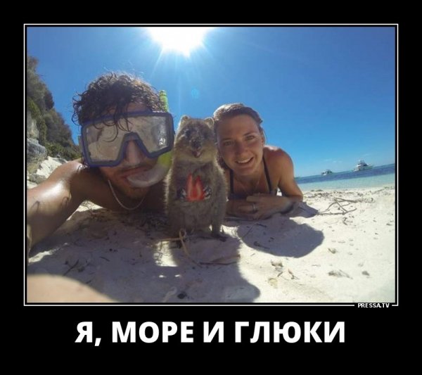 file_77361755