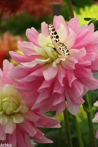 file_78519567