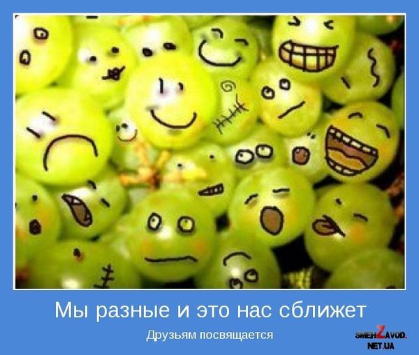 file_81442358