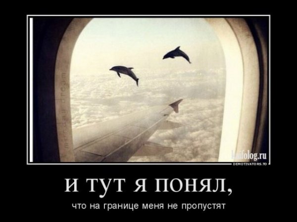 file_64677347