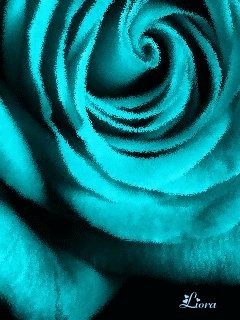 file_59294076